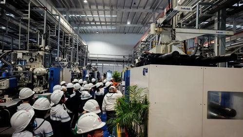 秋假啟航，長(zhǎng)虹雙創(chuàng)園打造工業(yè)科技研學(xué)新標(biāo)桿 信息技術(shù)的深度開(kāi)發(fā)之旅